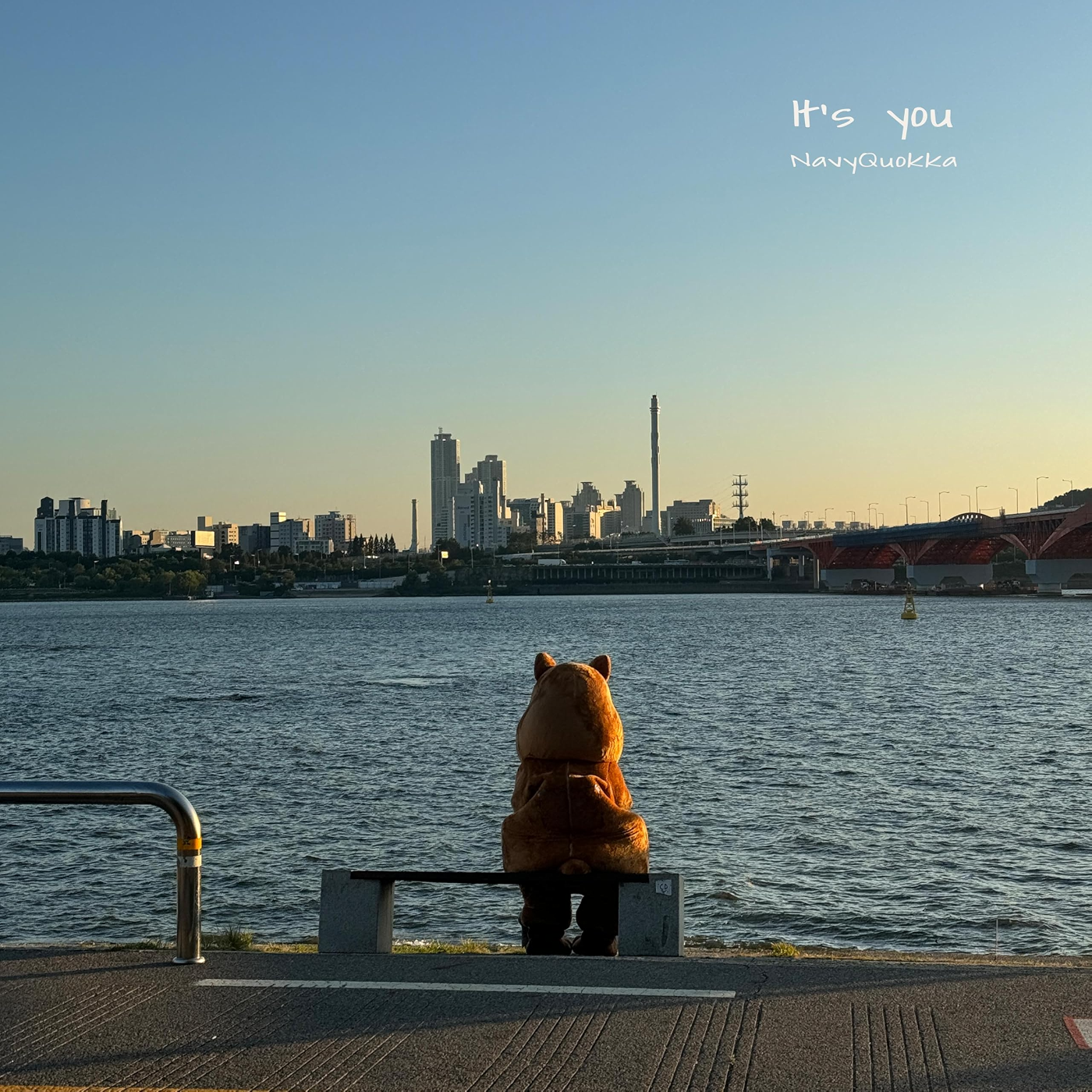 Image Cover